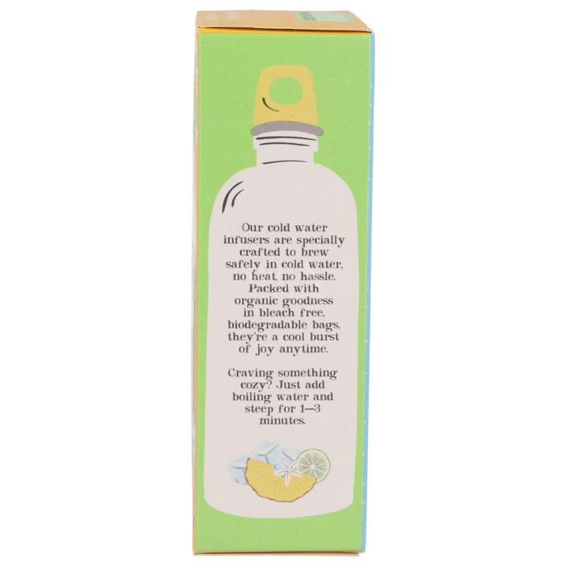 INFUSO FREDDO ANANAS LIME BIO 10FILTRI