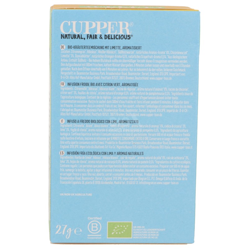INFUSO FREDDO ANANAS LIME BIO 10FILTRI