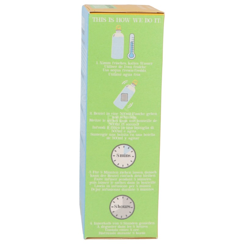 INFUSO FREDDO ANANAS LIME BIO 10FILTRI