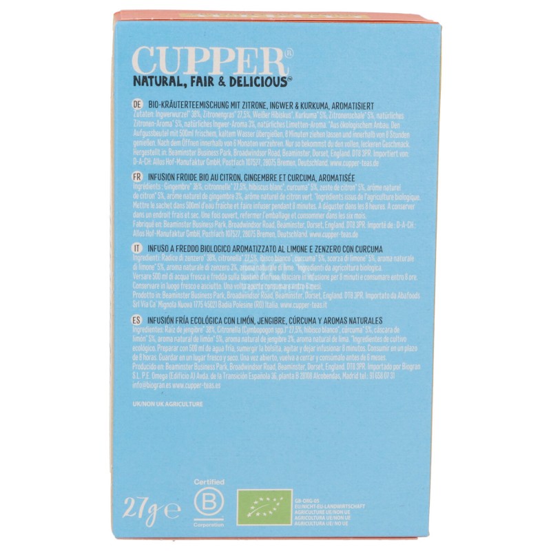 INFUS.FREDDO LIMON.ZENZER.CURCUM.BIO 10FILTRI