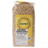 GRANO SARACENO BIO EUROPEO 500G DAVERT