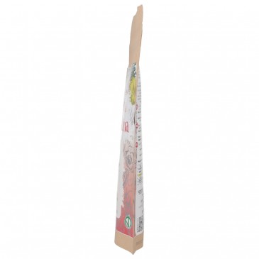 ROSA CANINA PLV BIO 100G ERBAV.
