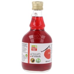 Acidulato di umeboshi