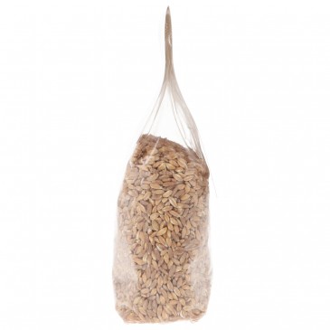 Farro dicocco perlato Farro dicocco perlato