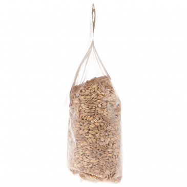 Farro dicocco perlato Farro dicocco perlato