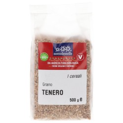 Grano tenero bio in chicchi
