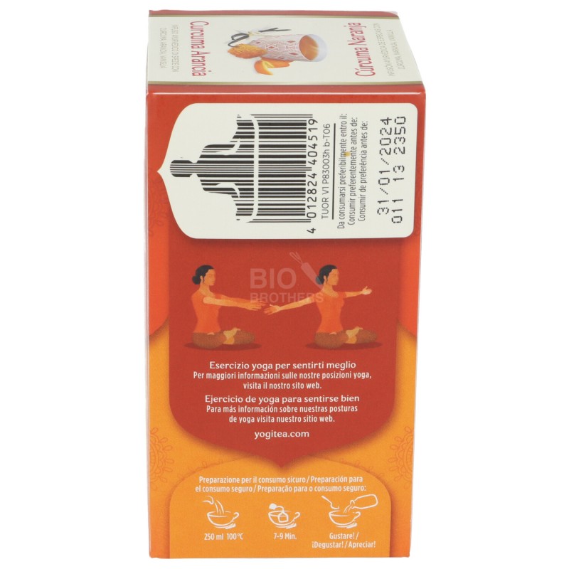 Curcuma Arancia infuso ayurvedico