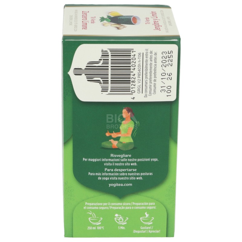 Tè verde Zenzero Limone, infuso ayurvedico