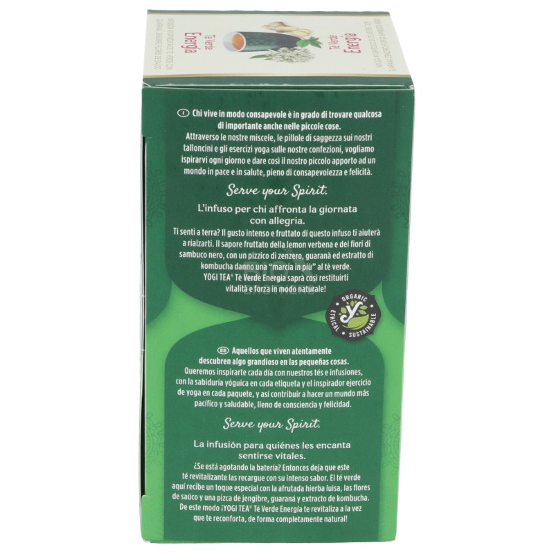 Tè verde Energia, infuso ayurvedico con guaranà