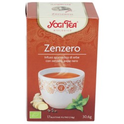 Zenzero, infuso ayurvedico