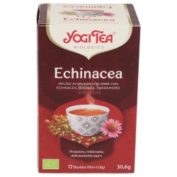 Echinacea, infuso ayurvedico con erbe