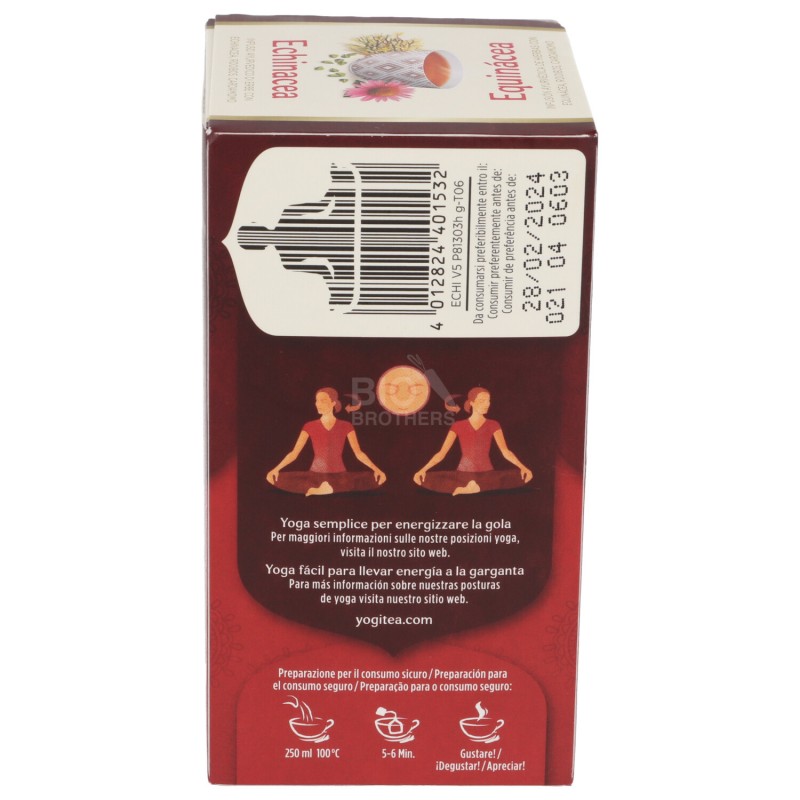 Echinacea, infuso ayurvedico con erbe