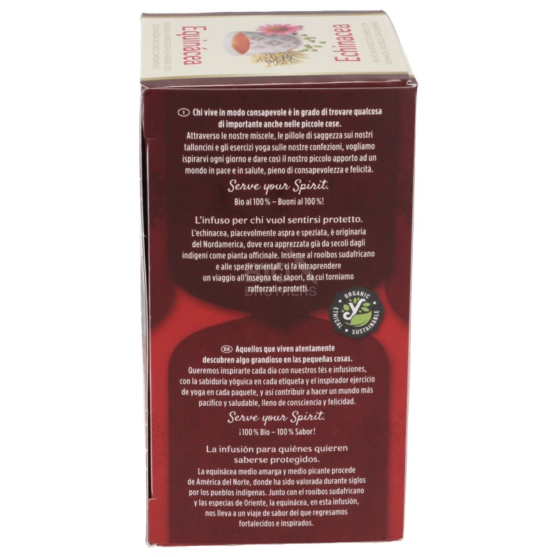 Echinacea, infuso ayurvedico con erbe