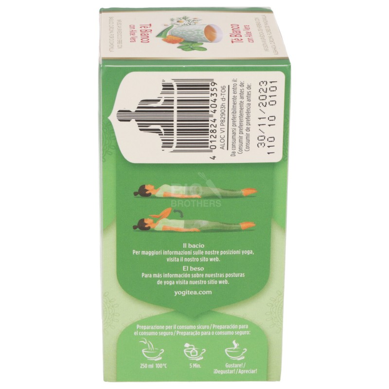 Tè bianco, infuso ayurvedico con Aloe Vera