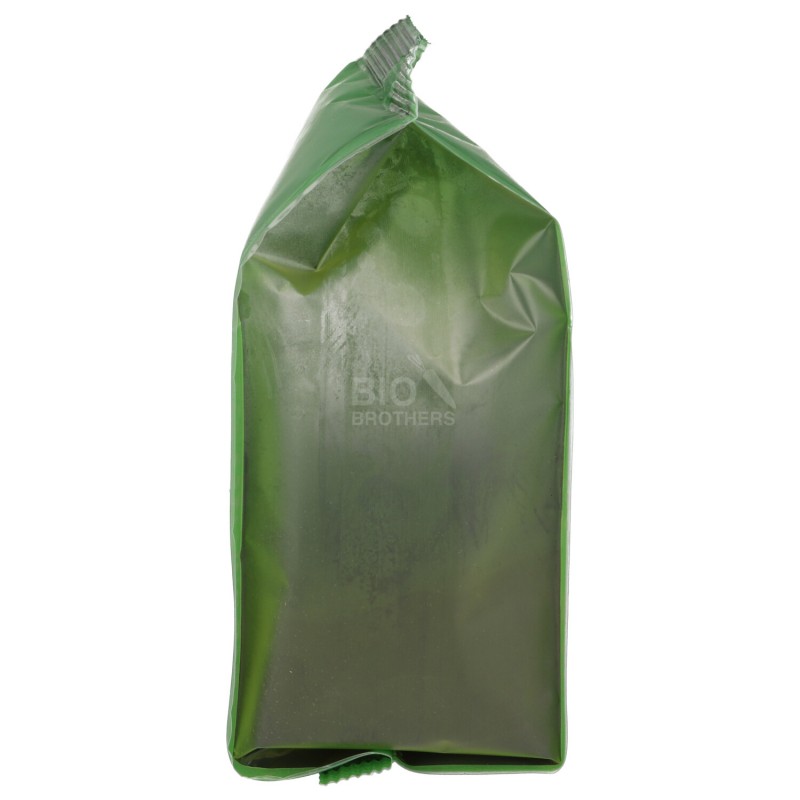 Spirulina biologica in polvere