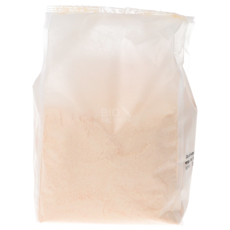 Farina di lenticchie rosse bio