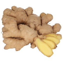 Zenzero biologico fresco in radice