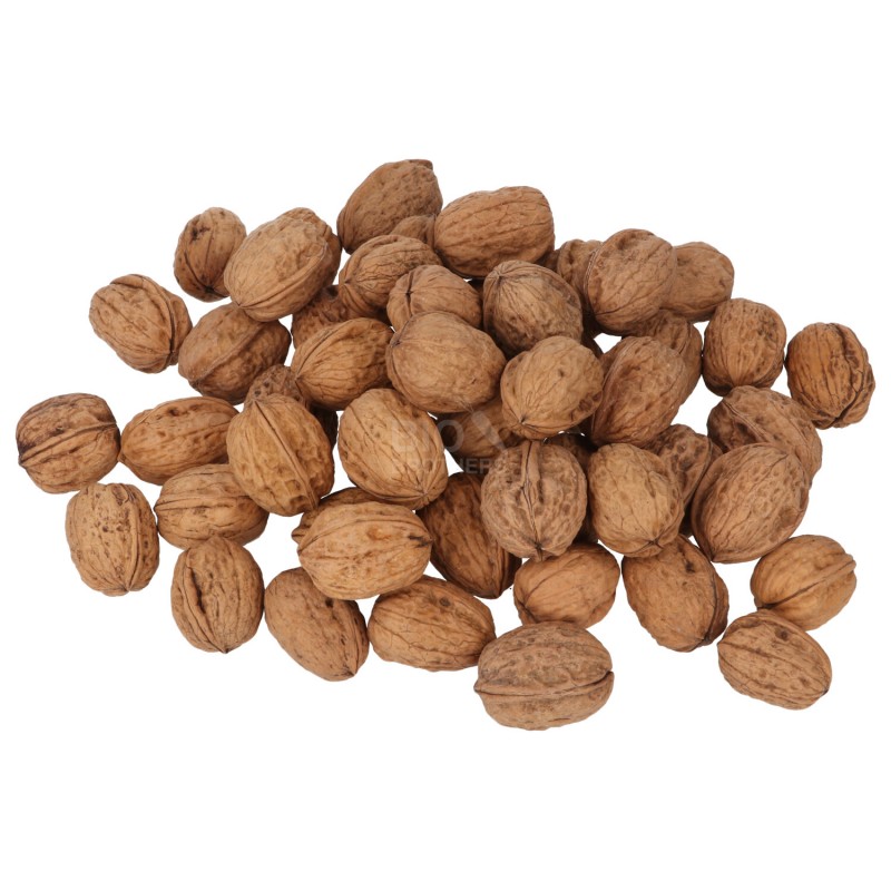 Noci biologiche con guscio