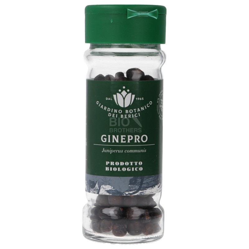 Ginepro in Bacche
