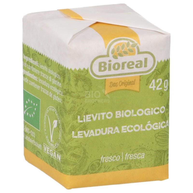 Lievito fresco biologico in cubetti