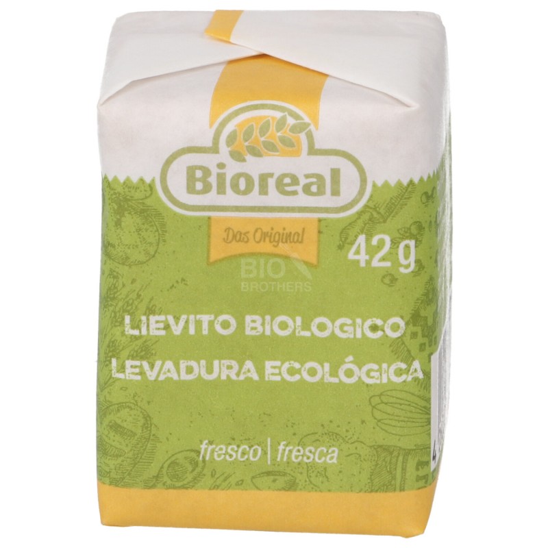 Lievito fresco biologico in cubetti