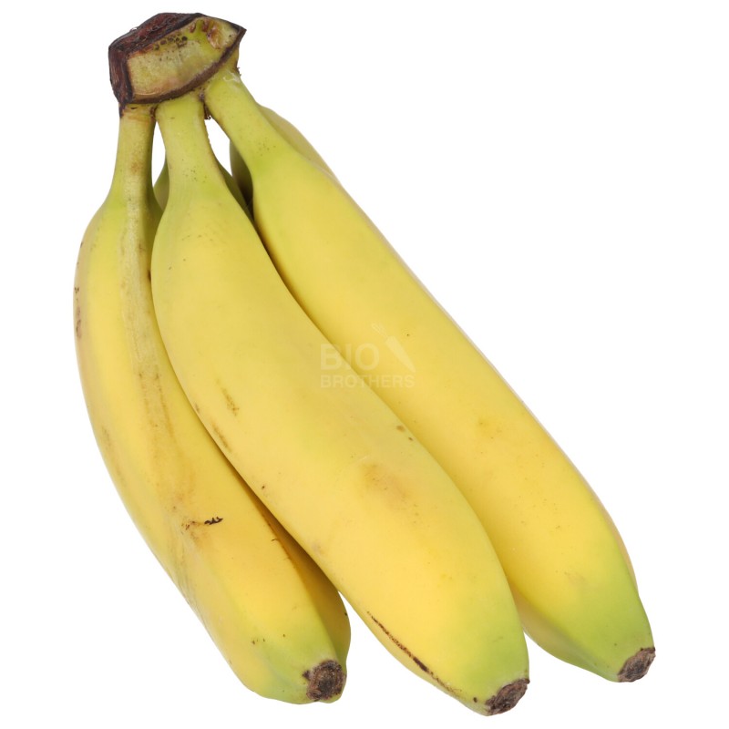 Banane biologiche