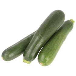 ZUCCHINE BIO