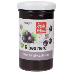 FRUTTA SPAL. RIBES NERO 280GR BAULE