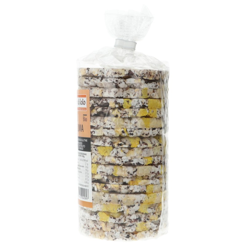 GALLETTE RISO CURCUMA 100G FDL