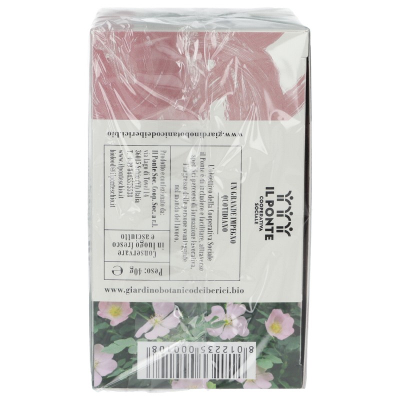 INFUSO ROSA CANINA 20G BERICI