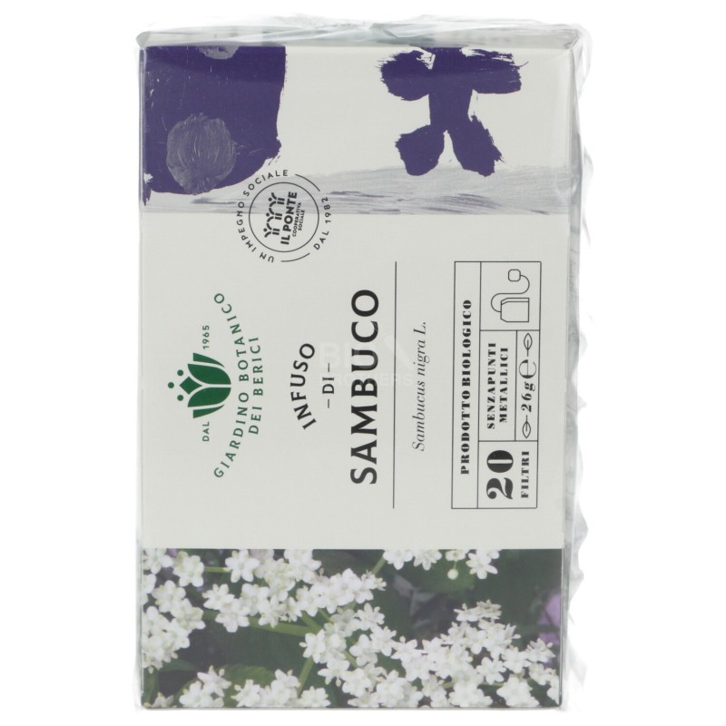 INFUSO SAMBUCO 26G BERICI