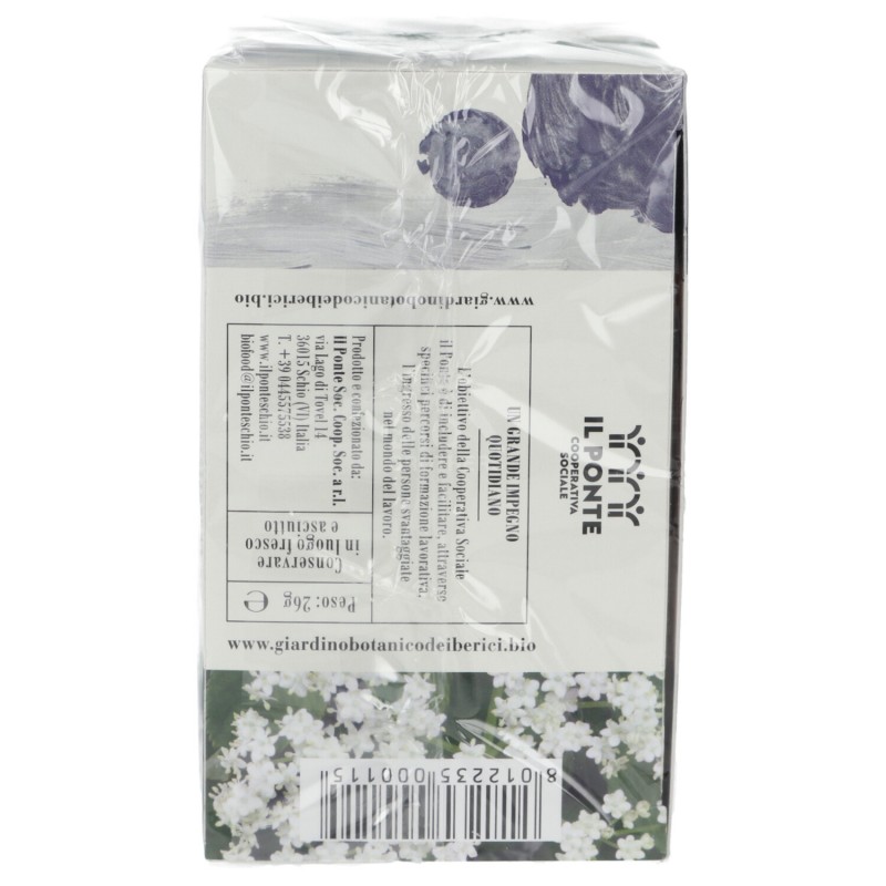 INFUSO SAMBUCO 26G BERICI