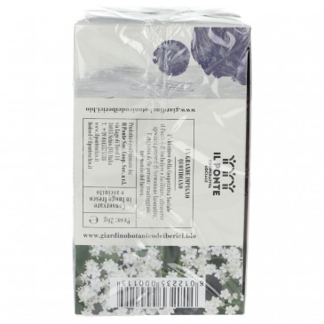 INFUSO SAMBUCO 26G BERICI INFUSO SAMBUCO 26G BERICI