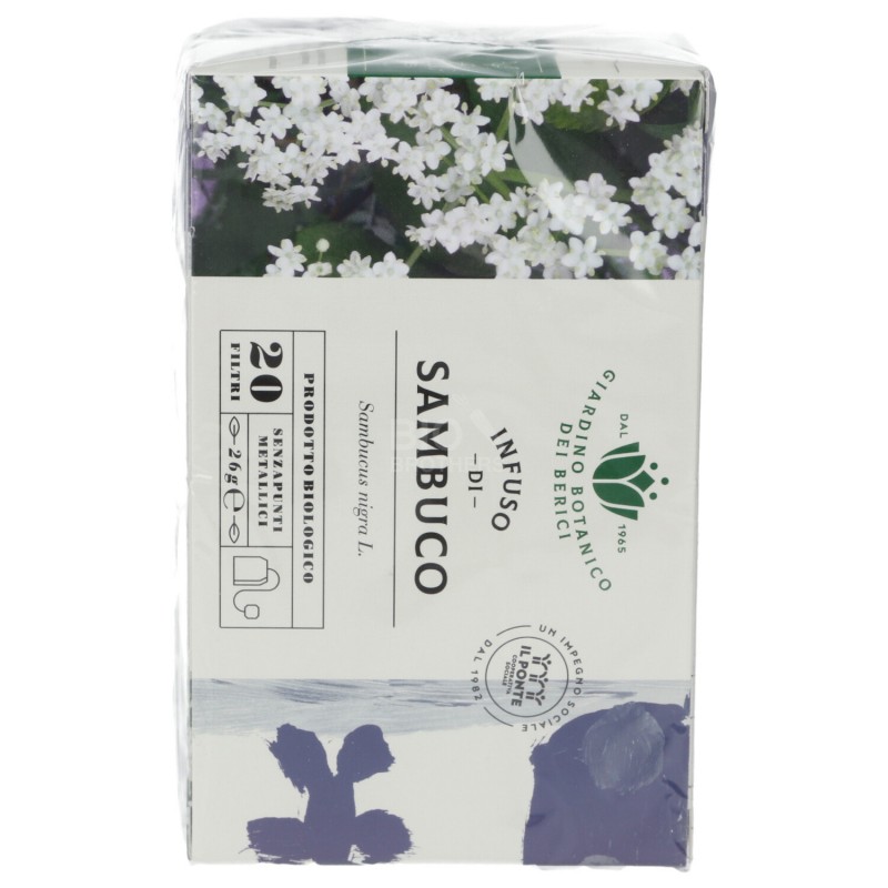 INFUSO SAMBUCO 26G BERICI