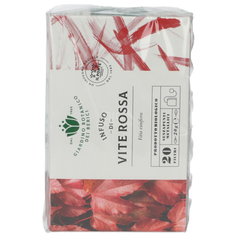 INFUSO VITE ROSSA 20G GIARDINO BERICI 