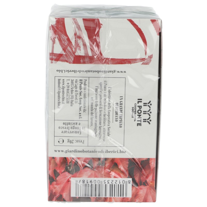 INFUSO VITE ROSSA 20G GIARDINO BERICI 