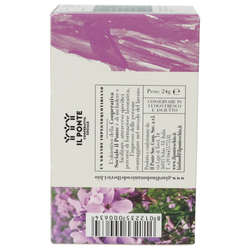 INF.VERBENA 24GR BERICI 