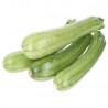 Zucchine biologiche