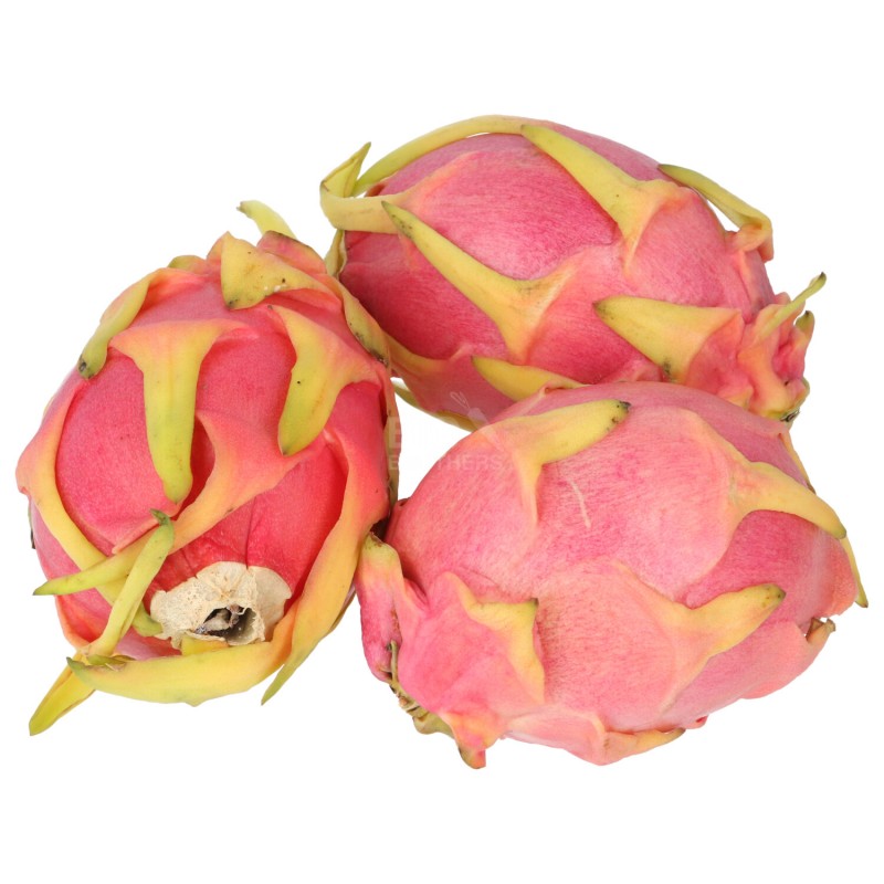 Pitaya-Dragonfruit biologico
