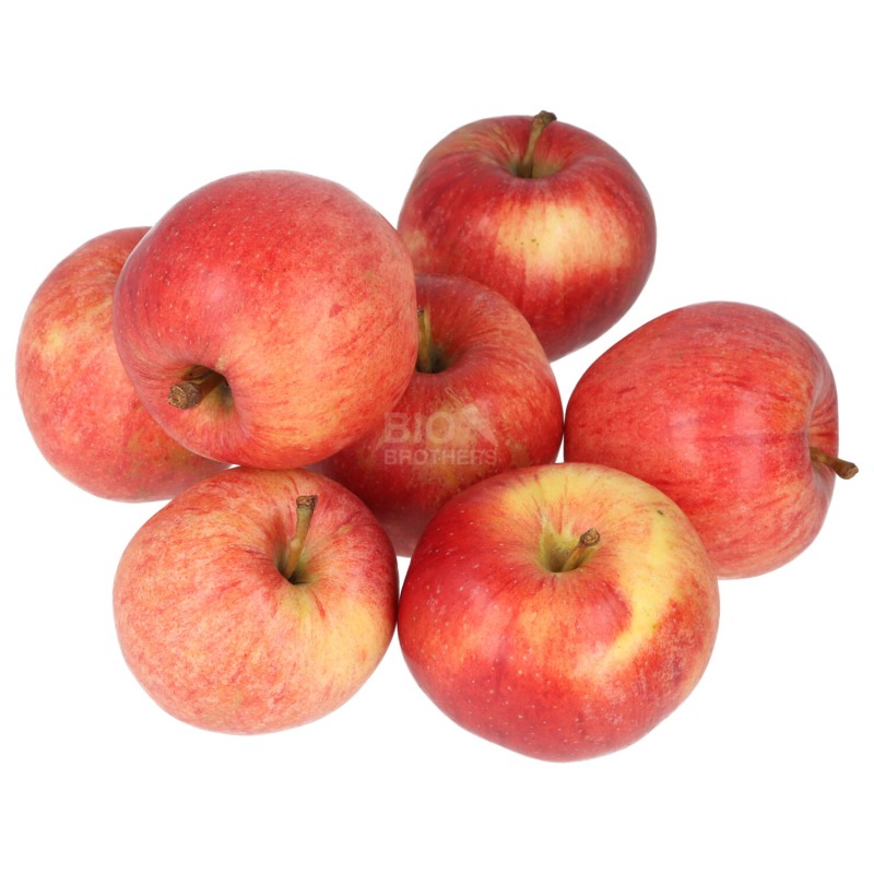 MELE GALA (BIOALPI) BIO