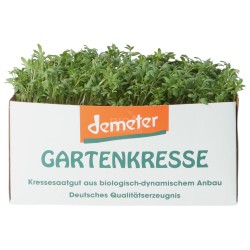 CRESCIONE DA TAGLIO (DEMETER) D