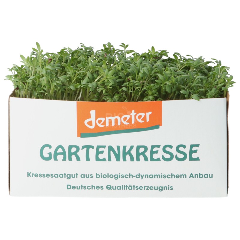 CRESCIONE DA TAGLIO (DEMETER) D