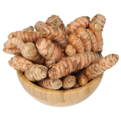 Curcuma radice gialla bio