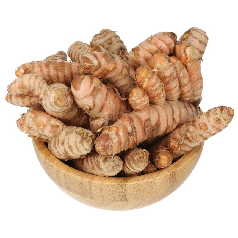 Curcuma radice gialla bio