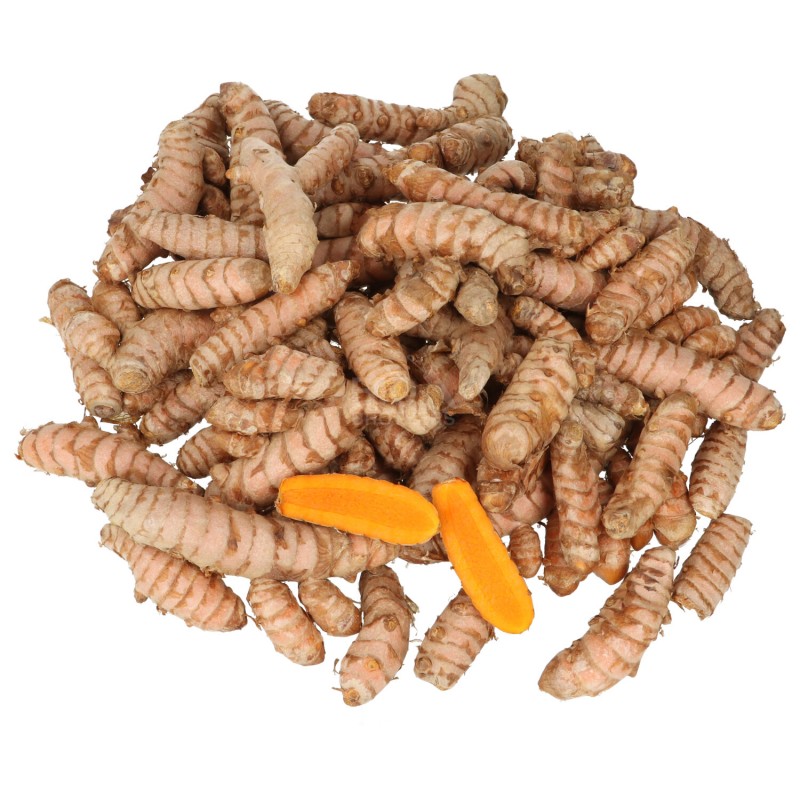 Curcuma radice gialla bio