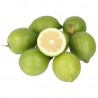 Limone biologico