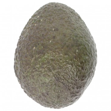 Avocado hass bio al pz