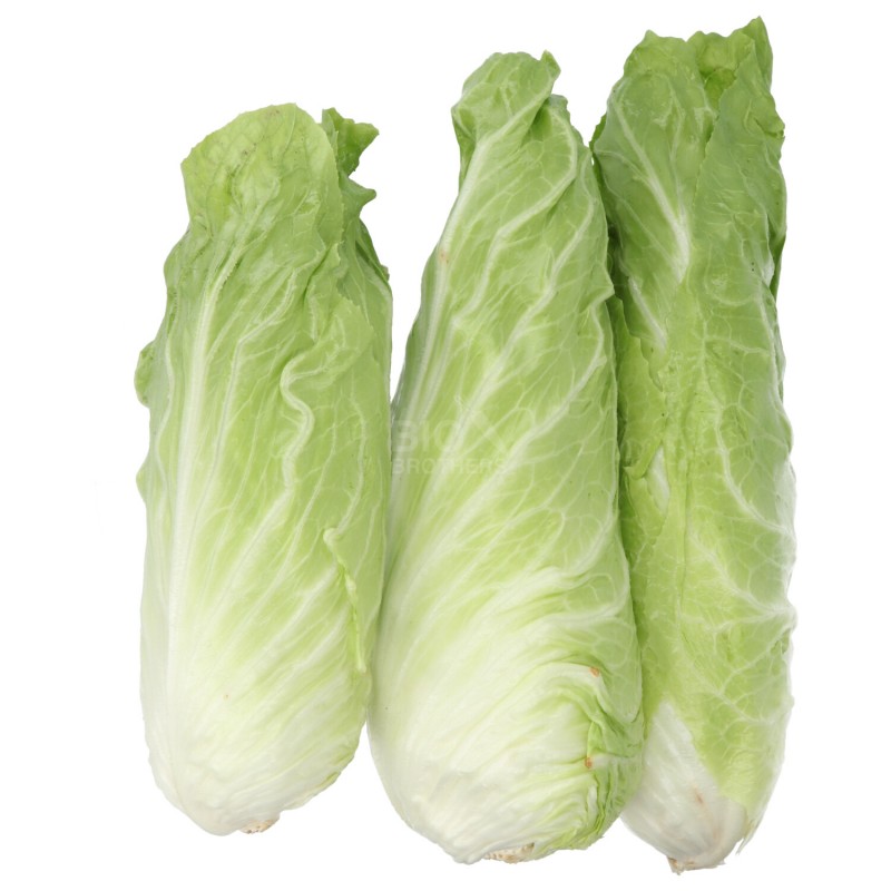 WIVA RAD.PAN DI ZUCCHERO (BIO)