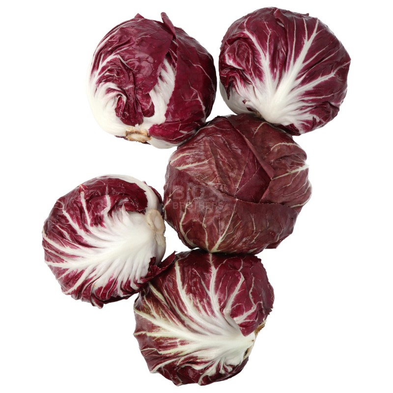 Radicchio tondo rosso biologico