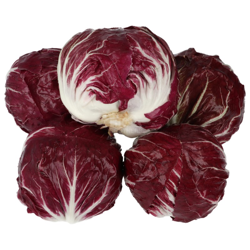 Radicchio tondo rosso biologico